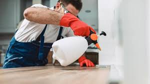 Reliable Macclenny, FL Pest Control Solutions